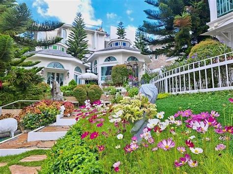 PRIM'S COTTAGE (Khao Kho, Phetchabun Province, Thailand) - B&B Reviews ...