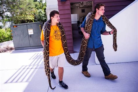 Image result for Largest Florida Python