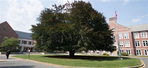 WPI Visit | Schedule a Visit to WPI in Worcester, MA