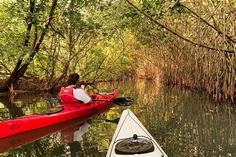 2023 Kayaking in Mangrove Forest of Paravur Backwaters near Varkala and ...