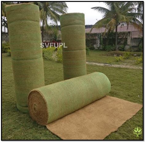 Green from the Ground Up: How Eco-Friendly Landscaping Materials Make a ...