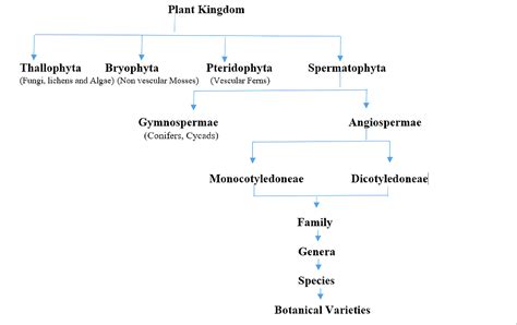 Horticultural and Botanical Classifications of Fruits - HORTICULTURE GURUJI