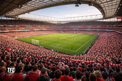 The Architecture of Allegiant Stadium: Design, Features, and Innovation - TFC Stadiums