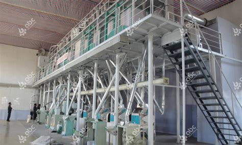 Image result for Maize Processing