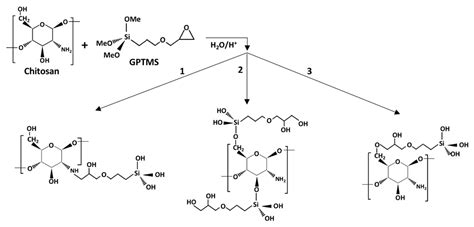 Chitosan-GPTMS-Silica Hybrid Mesoporous Aerogels for Bone Tissue ...