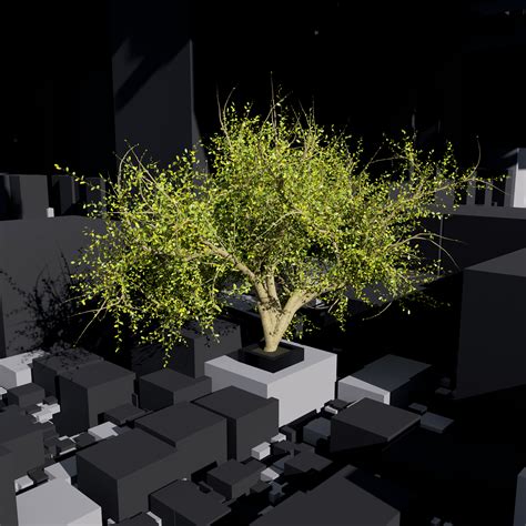 Procedural Mesh Generation 的图像结果