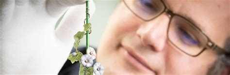 The Rostrum, Hansons Norfolk Free Valuation Day, Cromer Pier, Holt, 11 ...