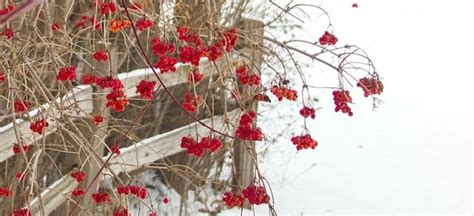 SGC Art Show at La Grua - January and February , La Grua Center ...