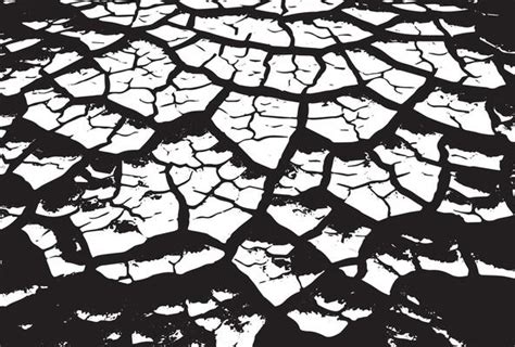 Vector Earth Texture 的图像结果