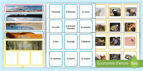 Jeu de paires des animaux et leur habitat
