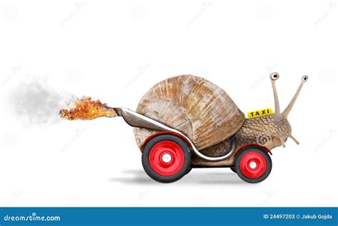 Speedy snail stock image. Image of capacity, humour, blur - 24497203