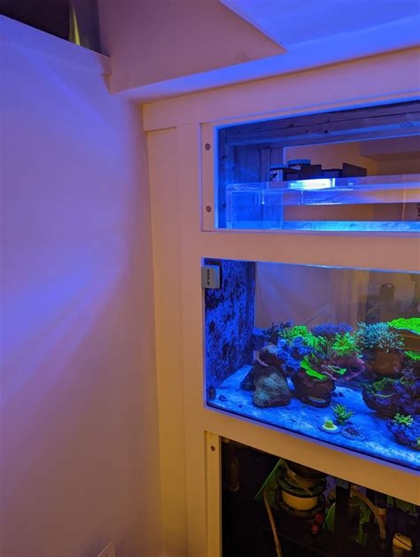 Image result for Reef Overflow Box