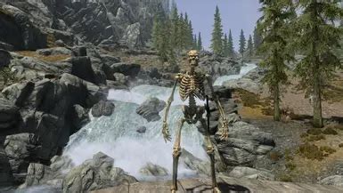 Image result for Daggerfall Skeleton