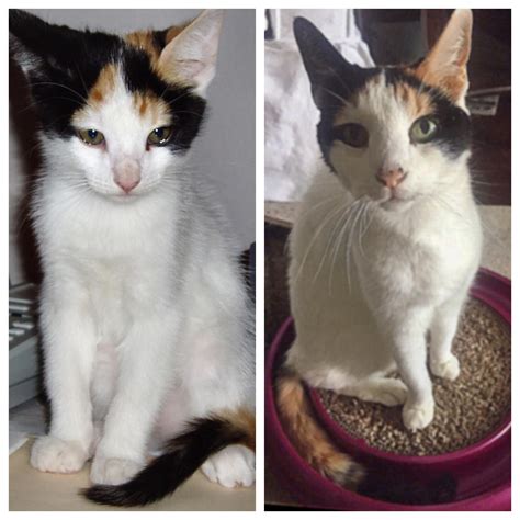 63 days ago I posted about treasuring the last days with my 16 year old ...