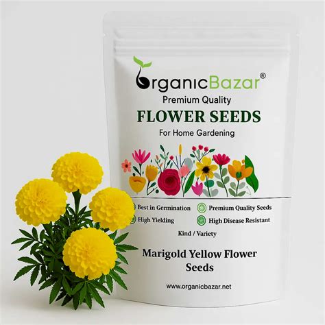 Buy Best Quality Marigold Yellow Flower Seeds Online
