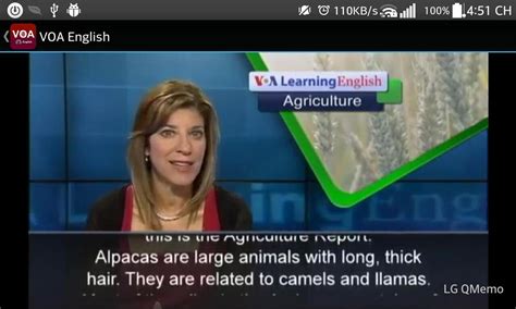 Education VOA Learning English 的图像结果