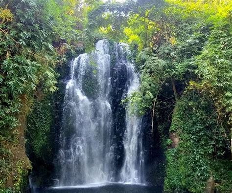 THE 5 BEST Places to Visit in Kaziranga National Park (2025)