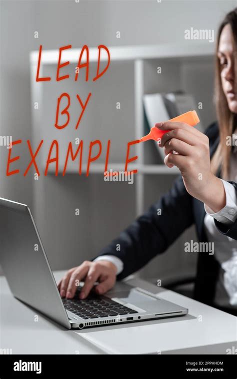 Follow the Example 的图像结果