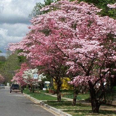 All Events in Fayetteville, Arkansas, Today and Upcoming Events in ...