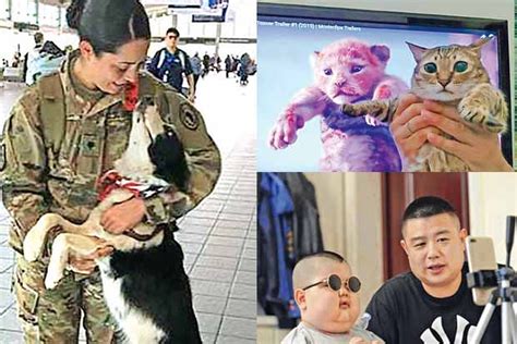 Trending in TN: Lion King fans mimic iconic frame, 5-year-old Chinese ...