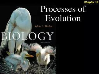 Image result for Microevolution Documentary