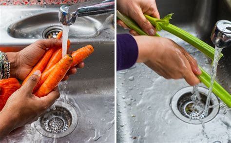 Using Food Processor to Chop 的图像结果