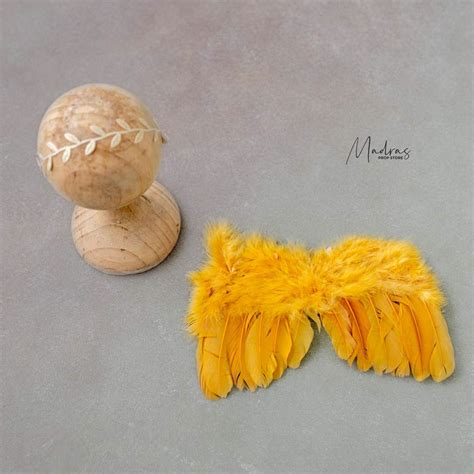 Minimal Theme – Madras Prop Store