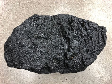 Image result for Fossil Formation