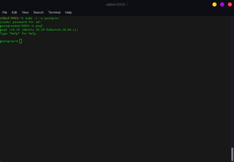 Node-Postgres 的图像结果