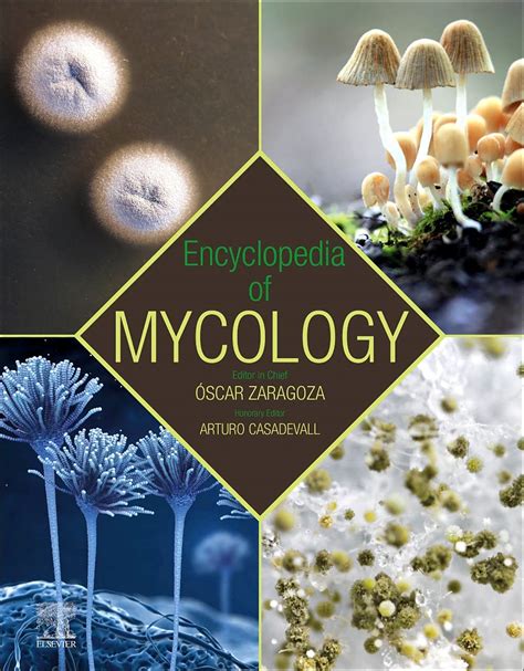 Buy ENCYCLOPEDIA OF MYCOLOGY, 1ST EDITION, 2 VOLUME SET Book Online at ...