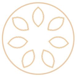 Inner Wear