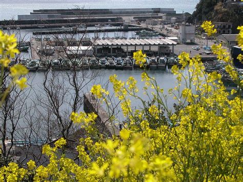 Wakayama Prefecture Tourism (2024): All You Need to Know Before You Go