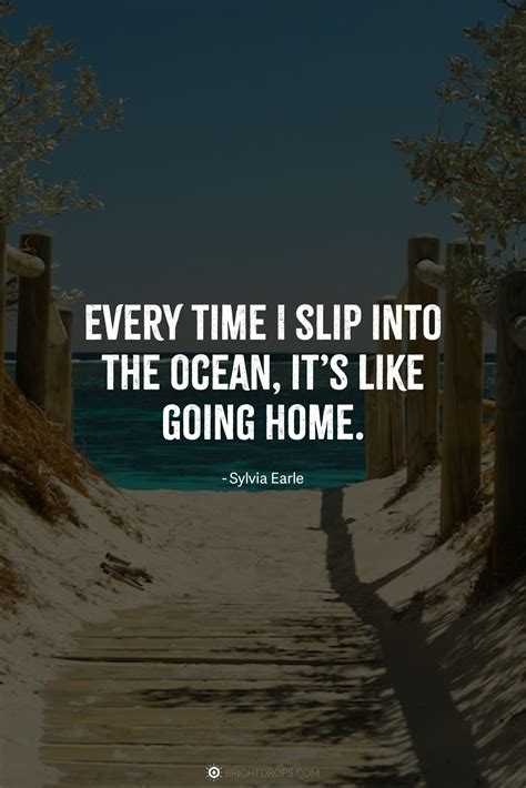 105 Short Beach Quotes (With Images!) - Bright Drops