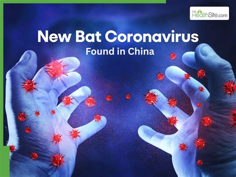 New Coronavirus Detected In China Wuhan Lab May Trigger Another ...