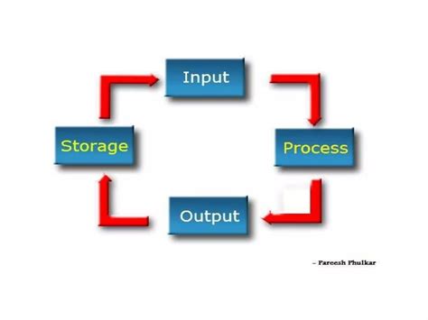 Information Processing Cycle Examples 的图像结果
