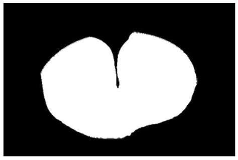 Identifying Irregular Potatoes Using Hausdorff Distance and ...