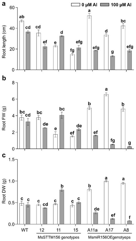 miR156 Is a Negative Regulator of Aluminum Response in Medicago sativa