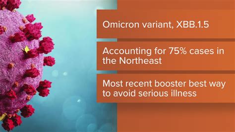 New omicron variant accounts for 75 percent of COVID-19 cases in ...