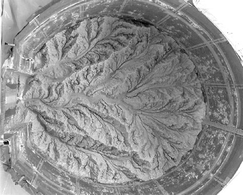 Dendritic Pattern 的图像结果