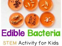 Life Science Experiments 的图像结果