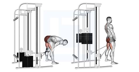 Image result for Lateral Step-Up Machine