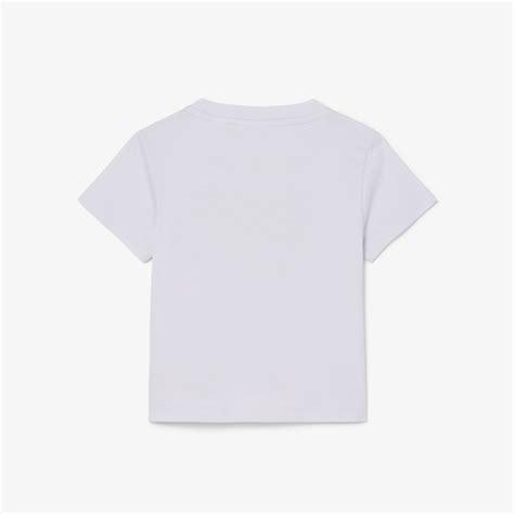 Lacoste T-Shirts
