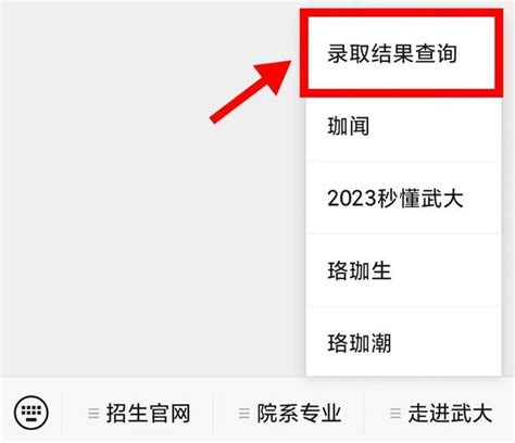 武汉大学2020年本科招生录取结果查询,武汉大学2021招生本科 - 中捷高考网