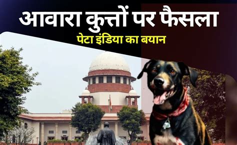 आवारा कुत्तों को हटाने वाले सुप्रीम कोर्ट के आदेश पर पेटा इंडिया का आया ...