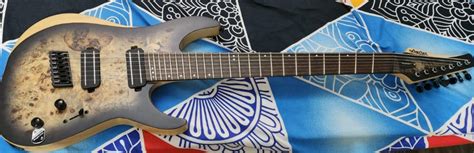 Schecter REAPER-7 MULTI-SCALE CB : Amazon.in: Musical Instruments