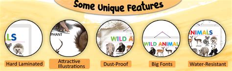 Buy Pack of 2 Wild Animals and Birds Educational charts with Big font ...