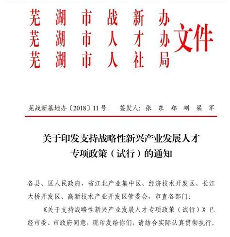 最新！芜湖住房保障租赁补贴政策发布！|住房|住房保障|平方米_新浪新闻