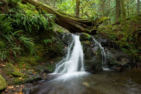 Washington 的图像结果