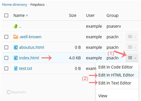 Image result for How to Design Website Using File Manager in Plesk