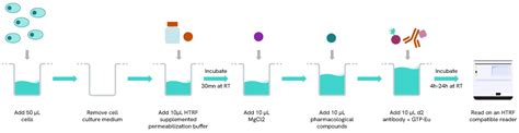 HTRF Cellular GTP Gi Detection Kit